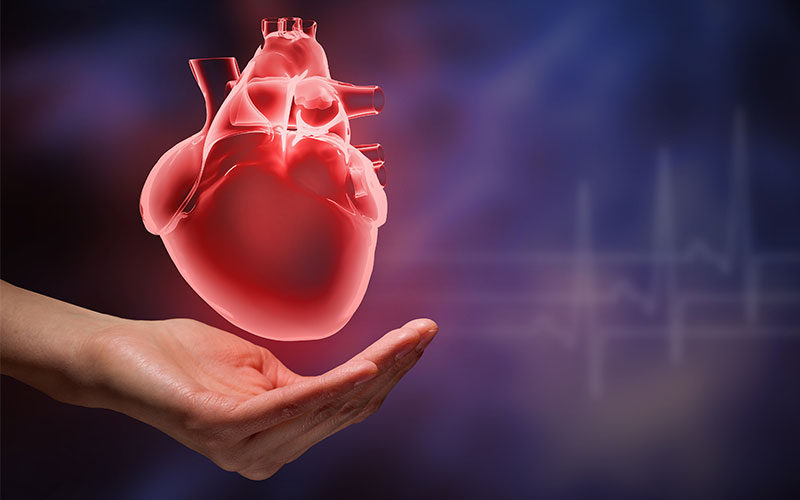 Best Tips to Save Your Heart