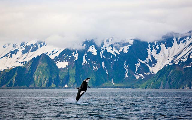 Kenai Fjords