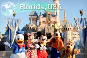 TOP TIPS TO VISIT FLORIDA