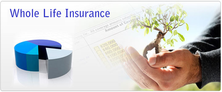 How to Find Online Best Whole Life Insurance Policy