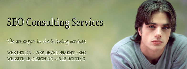 Free SEO consultation