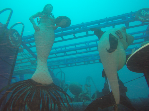 Underwater artwork delights Florida scuba divers