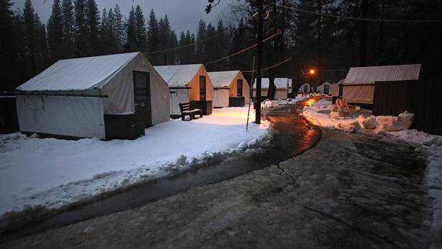 21 Year Old Woman Killed By Falling Tree In Yosemite National Park