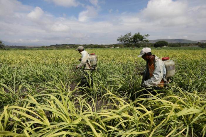 U.S., Mexico reach sugar pact despite U.S. producer resistance