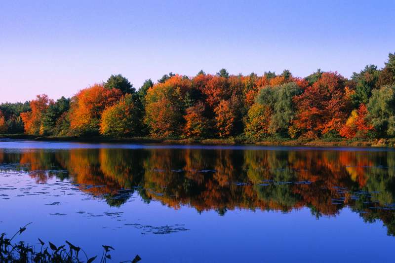 Celebrate Henry David Thoreau's 200th Birthday With A Visit To Walden Pond