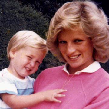 Princes William, Harry Remember Their Final Call With Diana