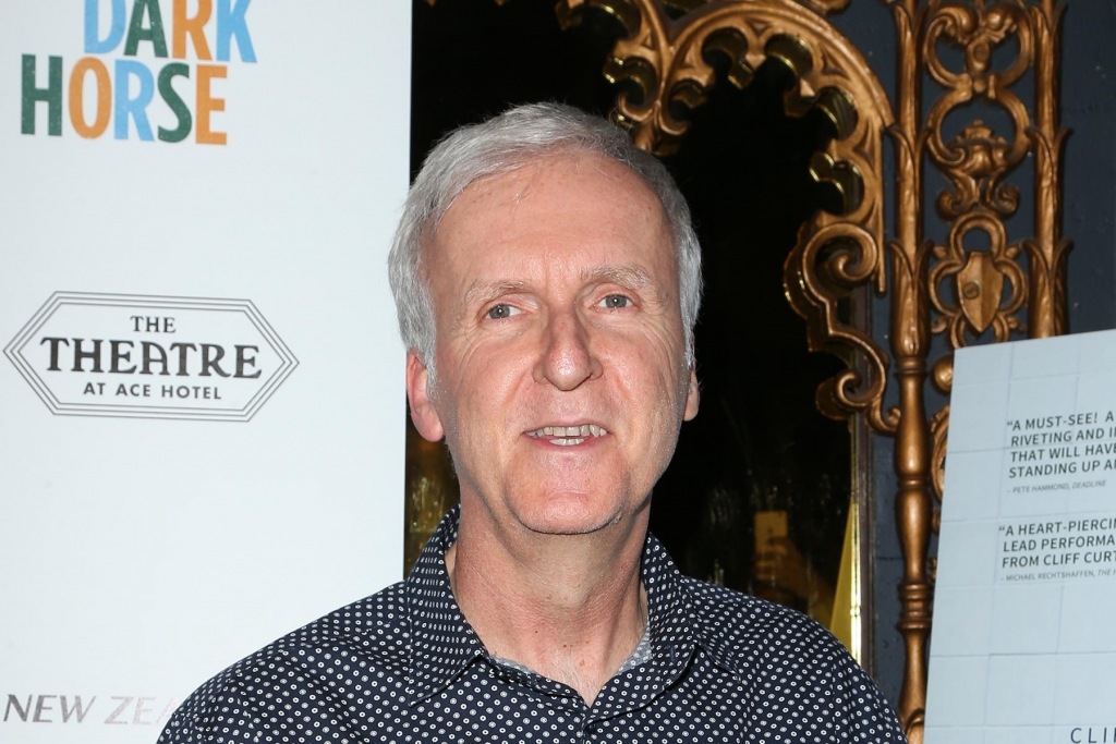 James Cameron blasts Netflix stupid film release strategy