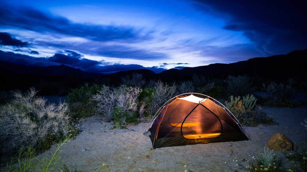 There’s a new go-to website to reserve campsites and tours at California State Parks