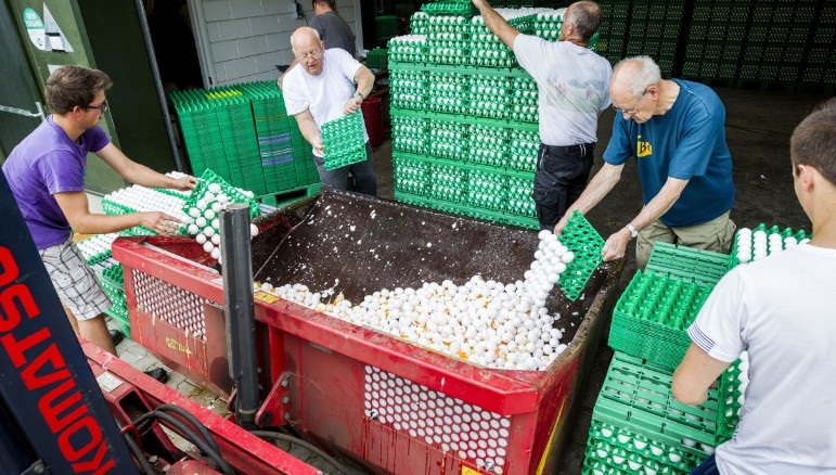 Two arrested in connection with European egg contamination scandal