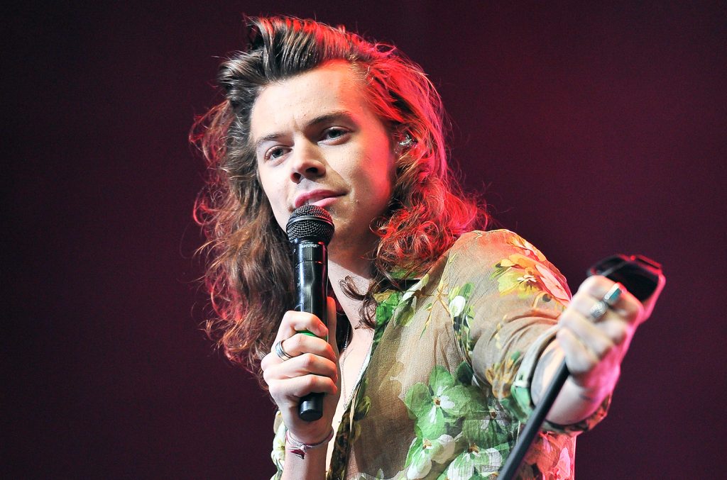 Harry Styles’ Crotch Gets Grabbed By Overzealous Fan During Epic Performance