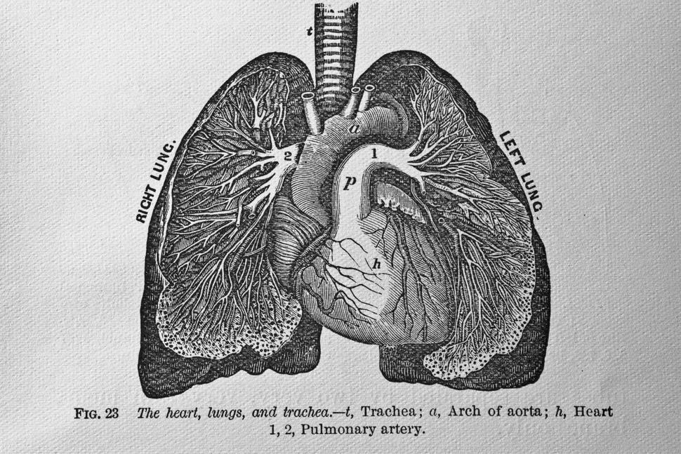 How Long Has COPD Been Around?