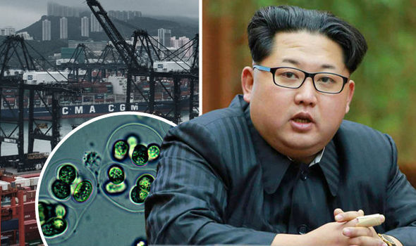 North Korea may use ALGAE to fight against brutal sanctions as World War 3 looms