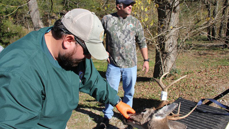 Deer in same seven counties show CWS signs