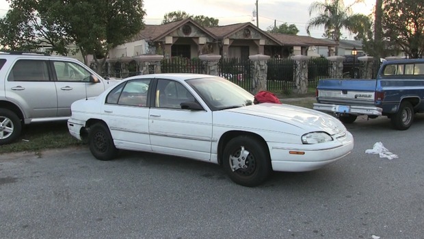 Florida woman attacked by cat, run over by own car