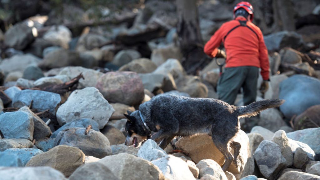 California mudslides: Rescuers race against time to find 17 missing people