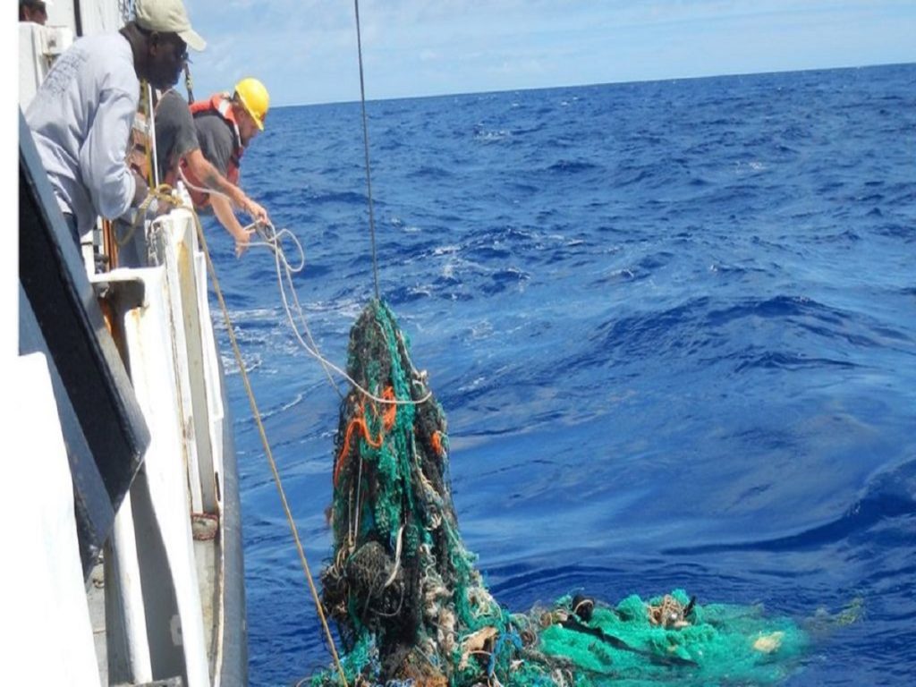 Plastic patch in Pacific Ocean growing rapidly, study shows