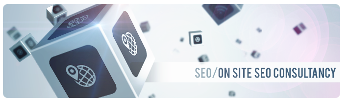 USA On-Site SEO Consultant