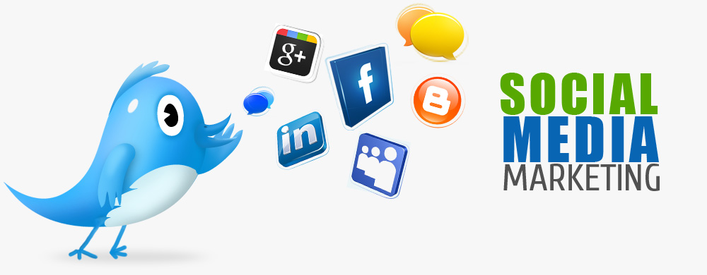 Best Social Media Service Provider