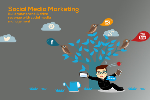 New York Web-Based Social Media Marketing Services Provider