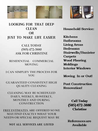 LET IT SHINE!!! HOUSE CLEANING (ROCHESTER)