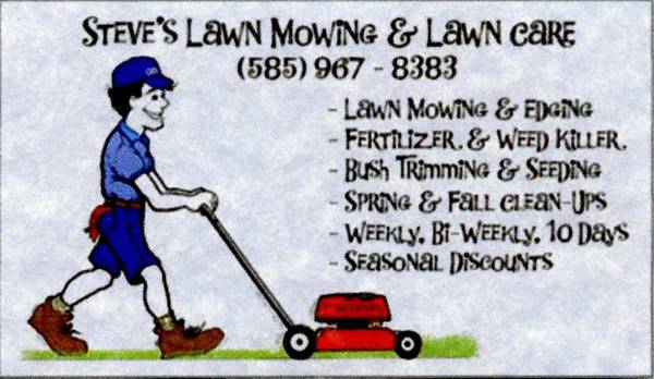 LAWN MOWING & FALL LEAF CLEAN-UP (Monroe County)