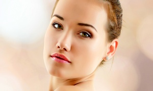 One or Three 90-Minute Microdermabrasion Facials at Touch of the Dragonfly Facial Spa (Up to 52% Off)