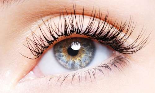 Full Set of Mascara Look, Natural Look, or Feather Look Eyelash Extensions at The Lashe Spot (Up to 60% Off)