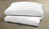 1000TC Egyptian Cotton Royal Luxe Pillows (2- or 4-Pack)