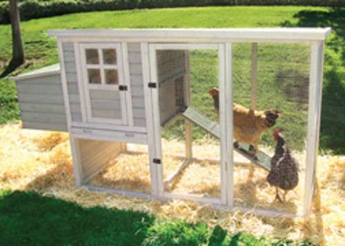 Hen House Chicken Coop