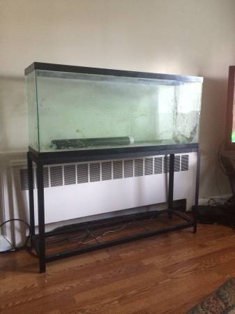 55 gallon fish tank completed set up (Mamaroneck )